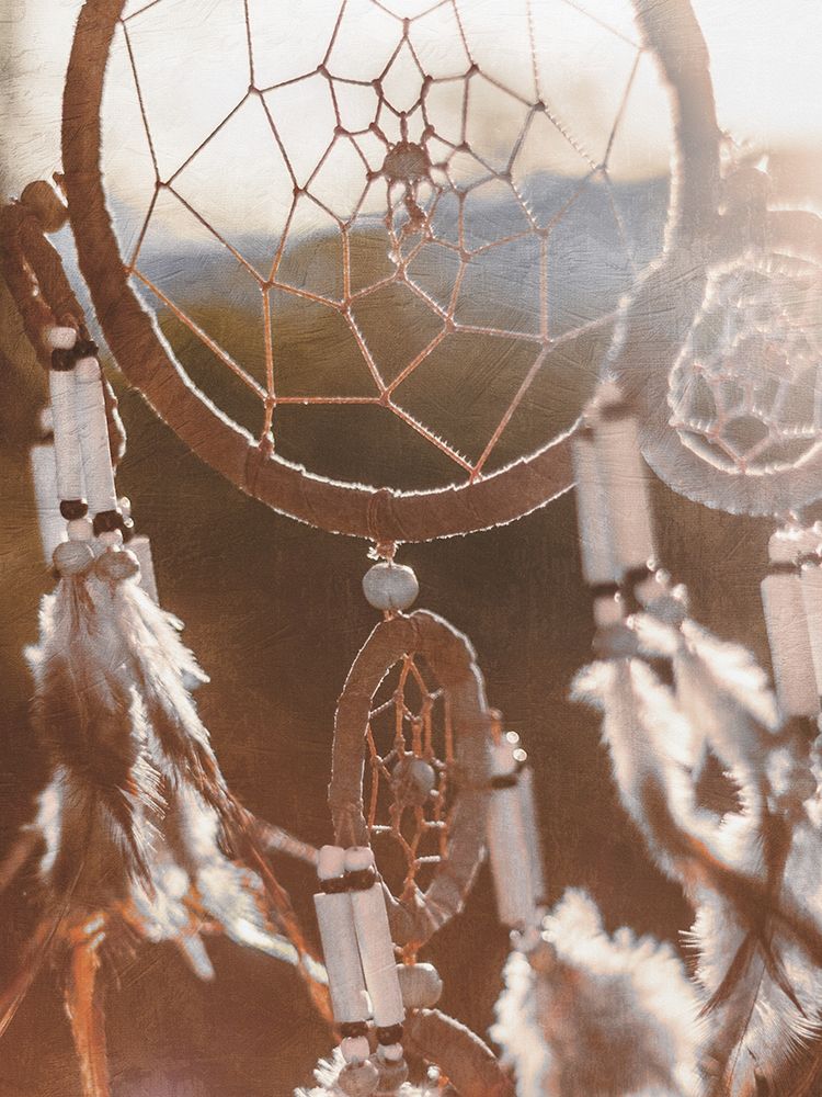 Spirited Dreamcatcher