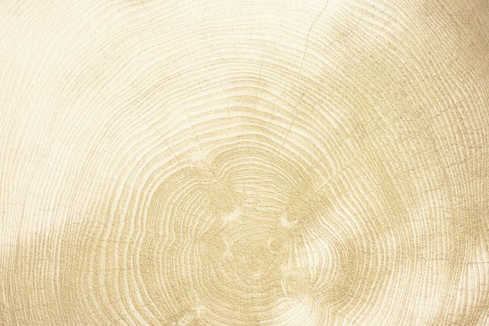 Wooden Comfort 1
