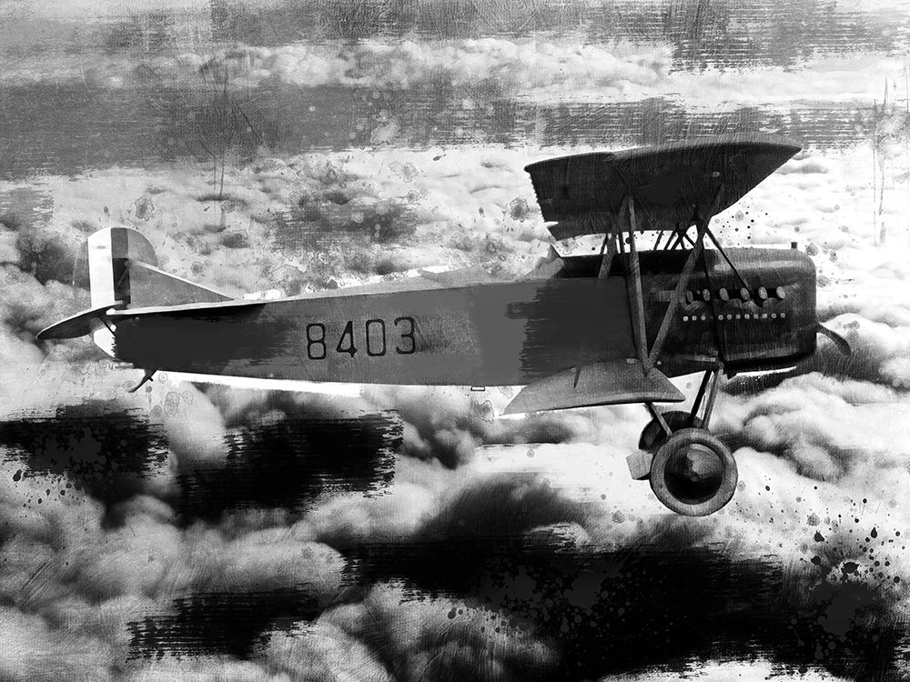 Aerial Maneuvers 1