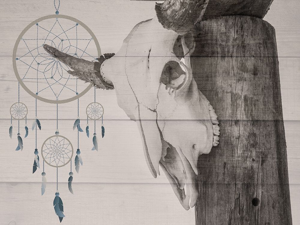 Dreaming Skull