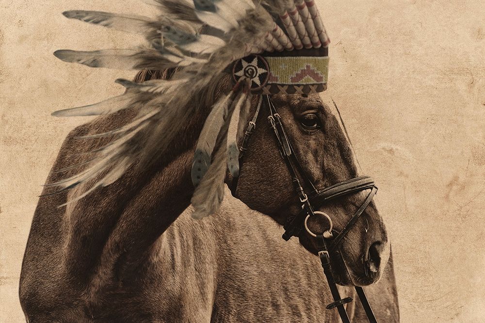 Native Horse