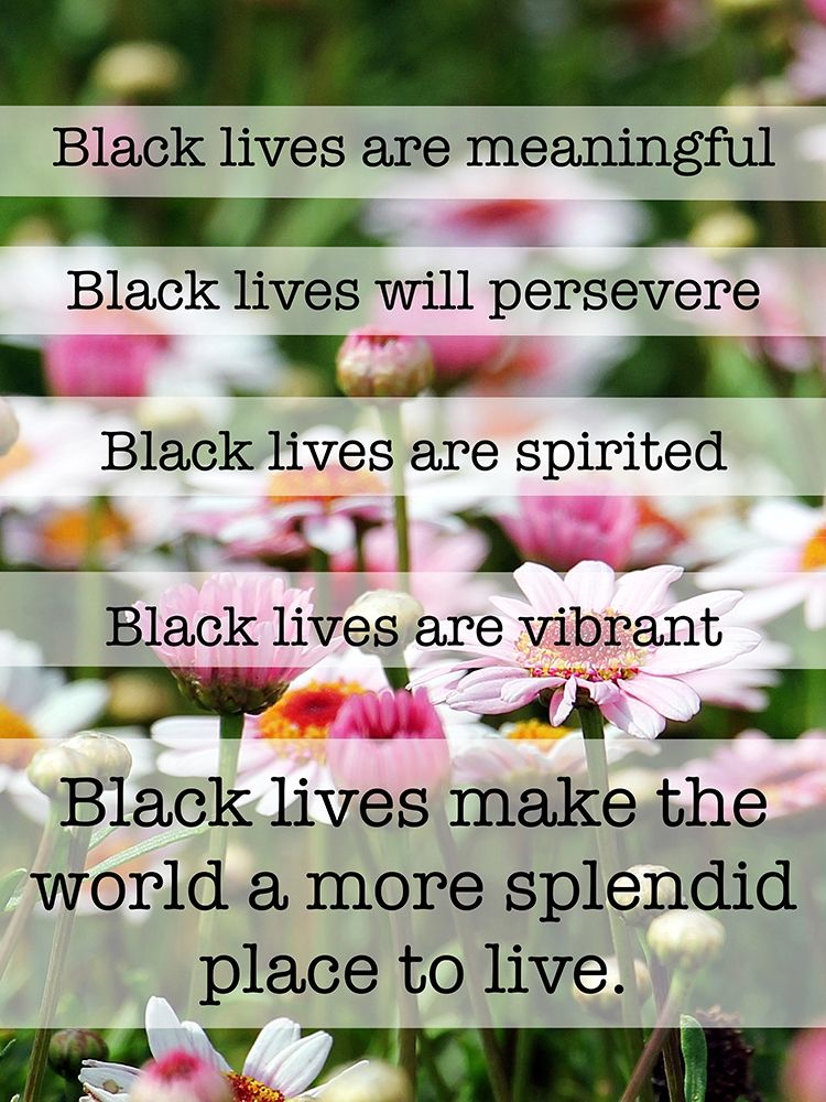 Splendid Lives 1