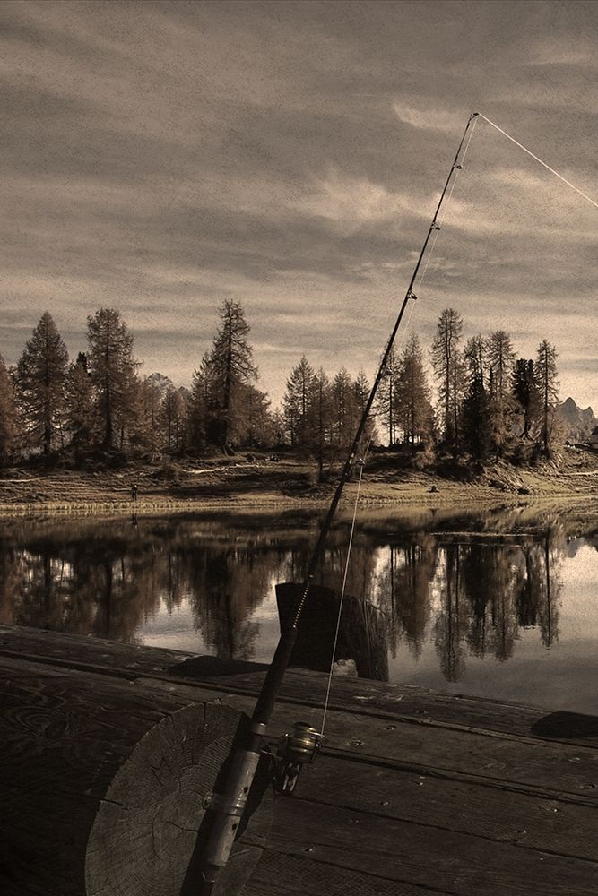 Peaceful Outing