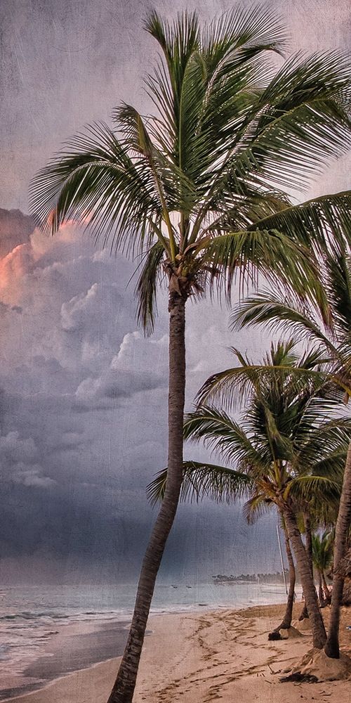 Morning Sea Breeze