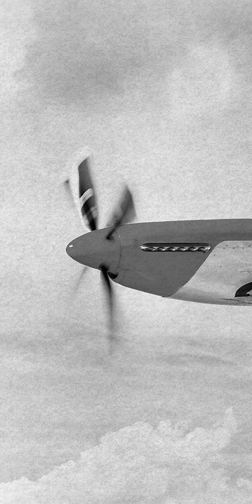Flying Beauty 1