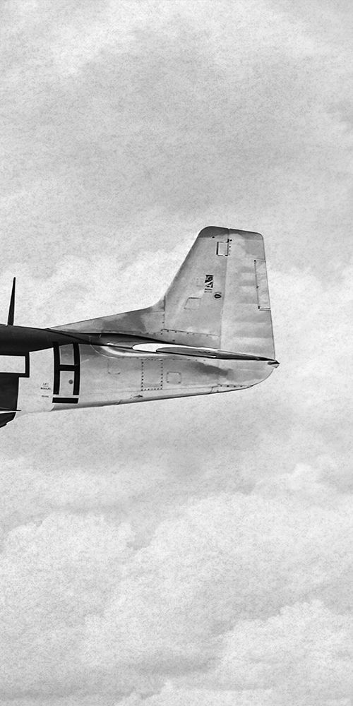 Flying Beauty 3