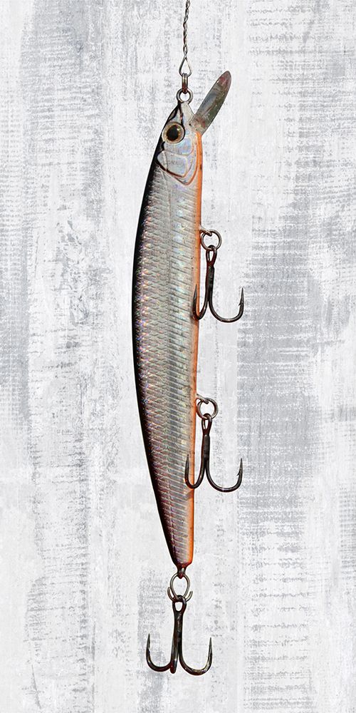 Fishing Lure 1