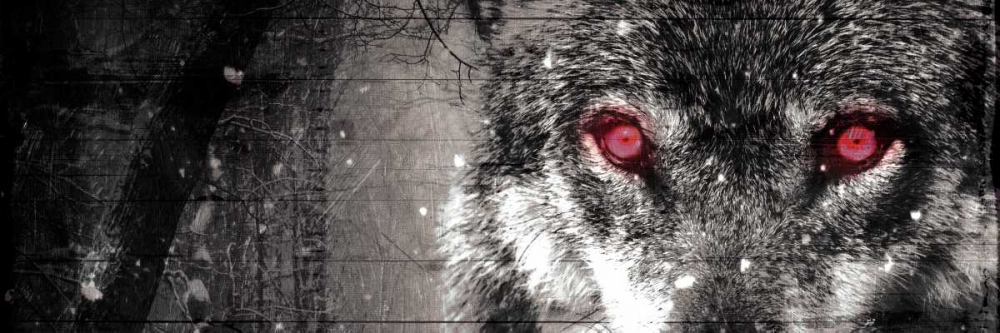 Wolf Eyes