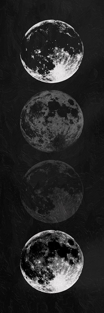 Moon Shade Reverse