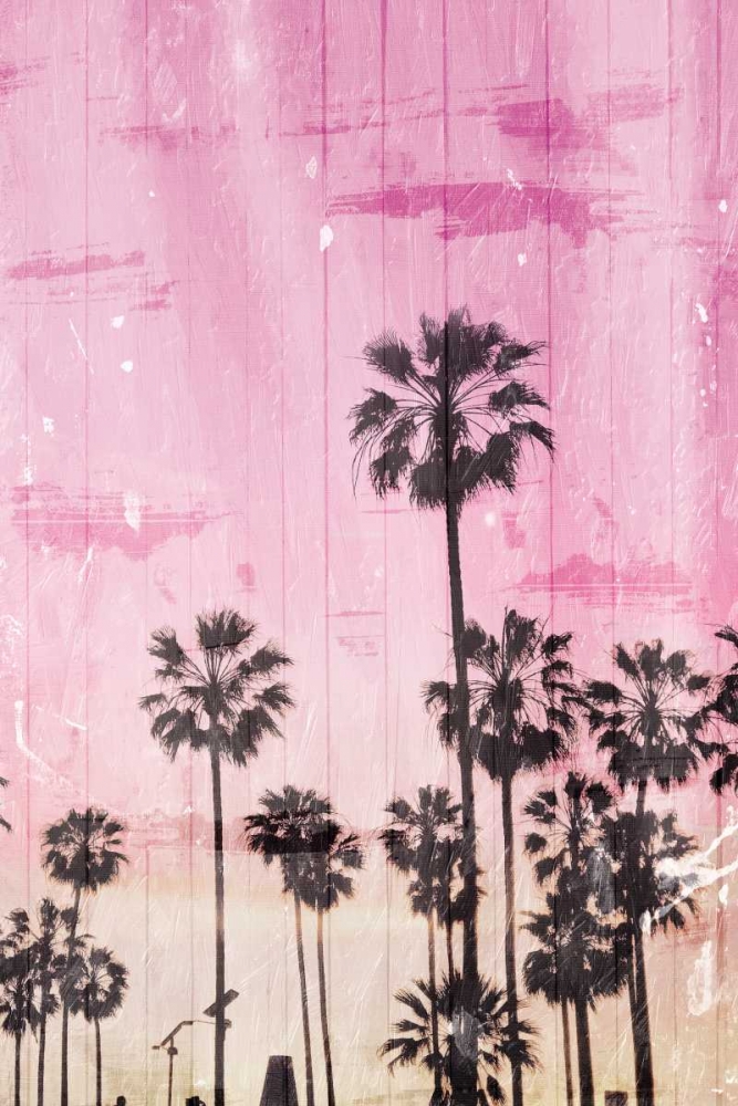 Palm Peach