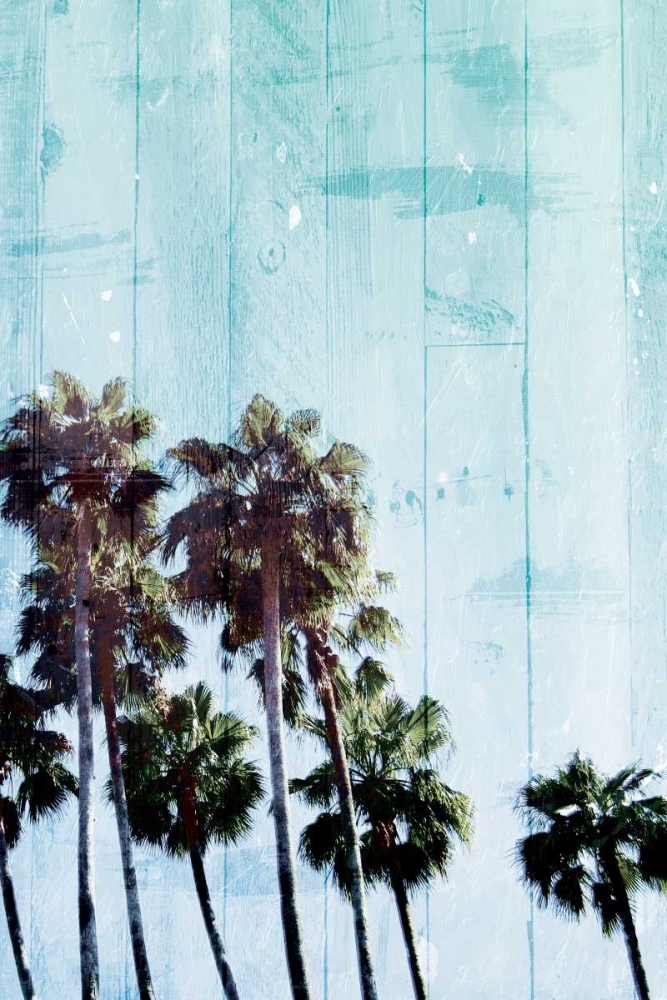 Palm Cool Blue