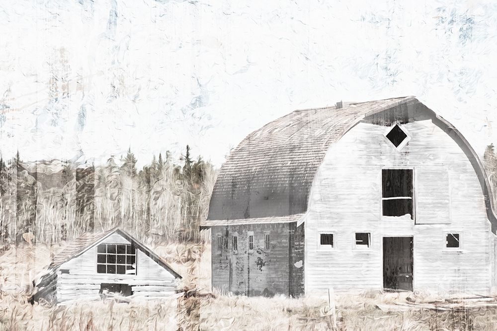 Broken Down White Barn