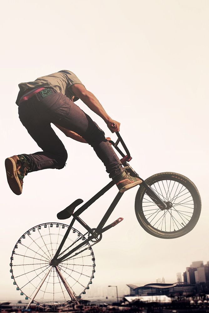 Ferris Bike
