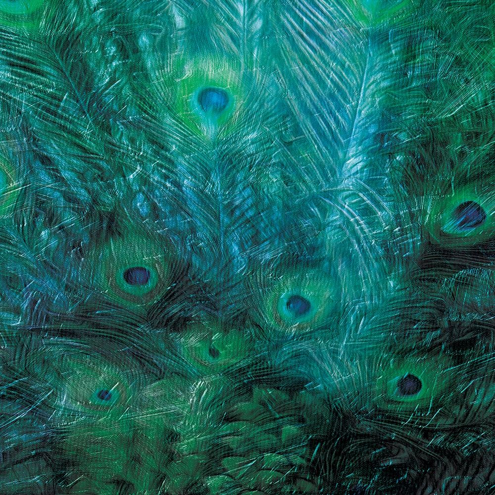 Peacock Galaxy Three