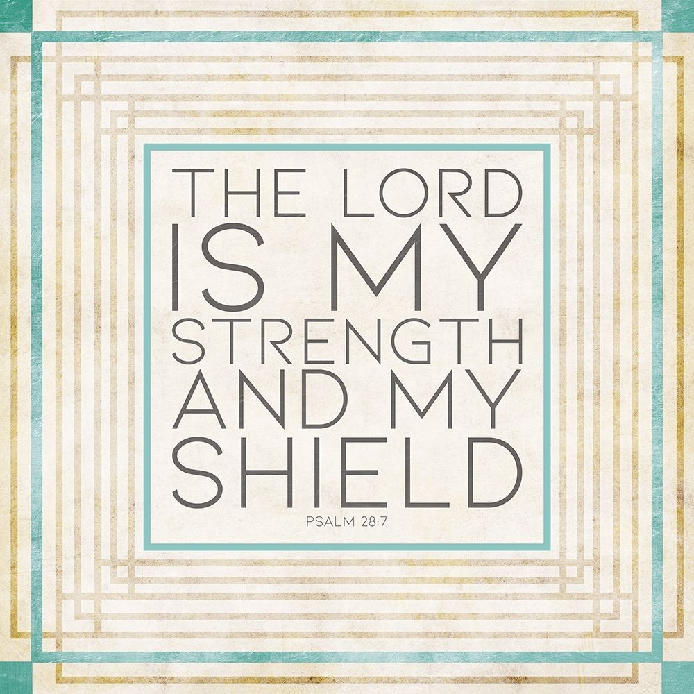 Shield