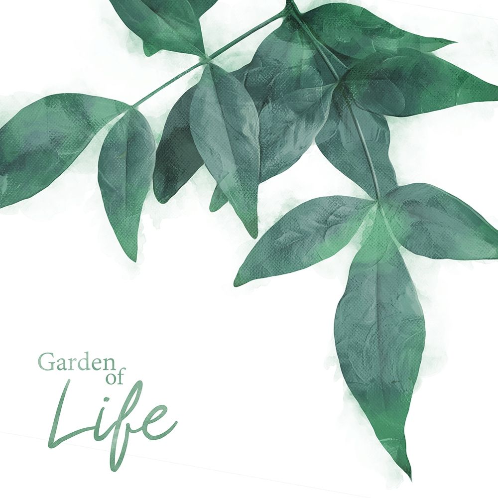 Leaf Life