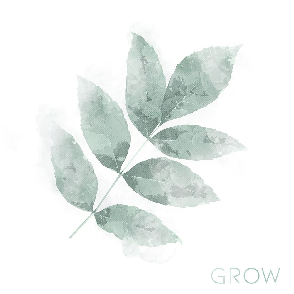Grow Leaves