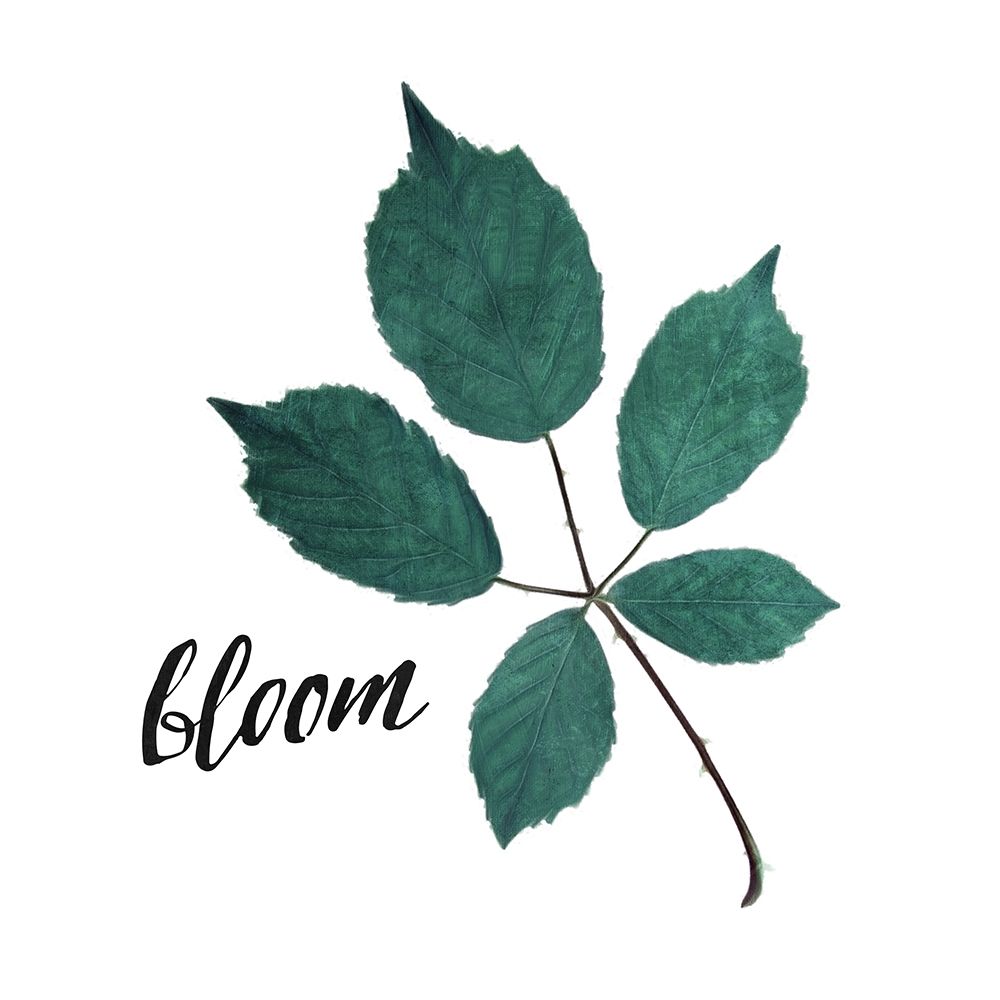 Bloom Leaves