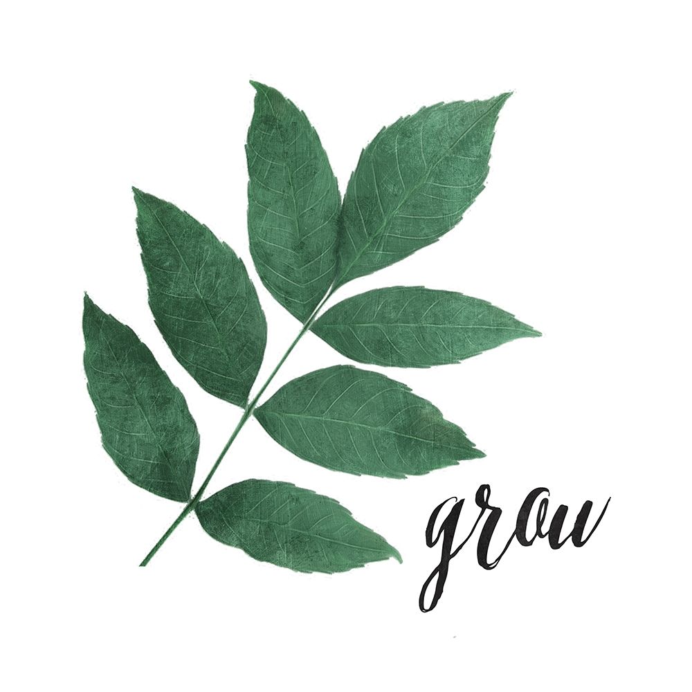 Grow Leaves