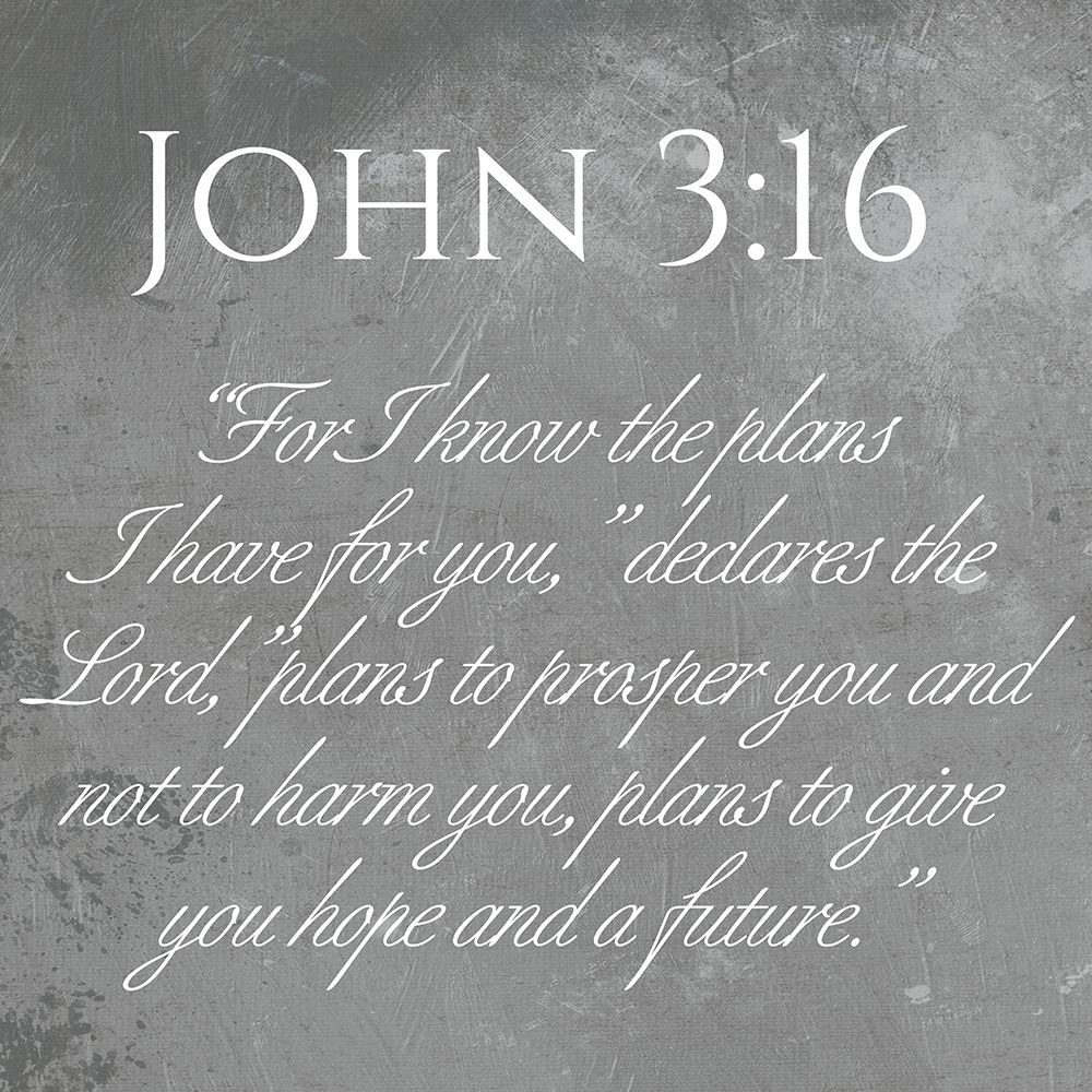 John 3:16