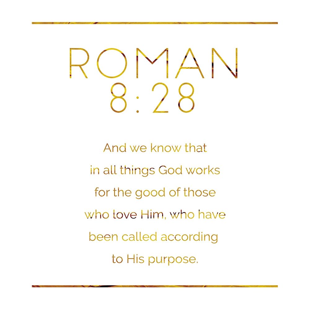 New Roman Gold