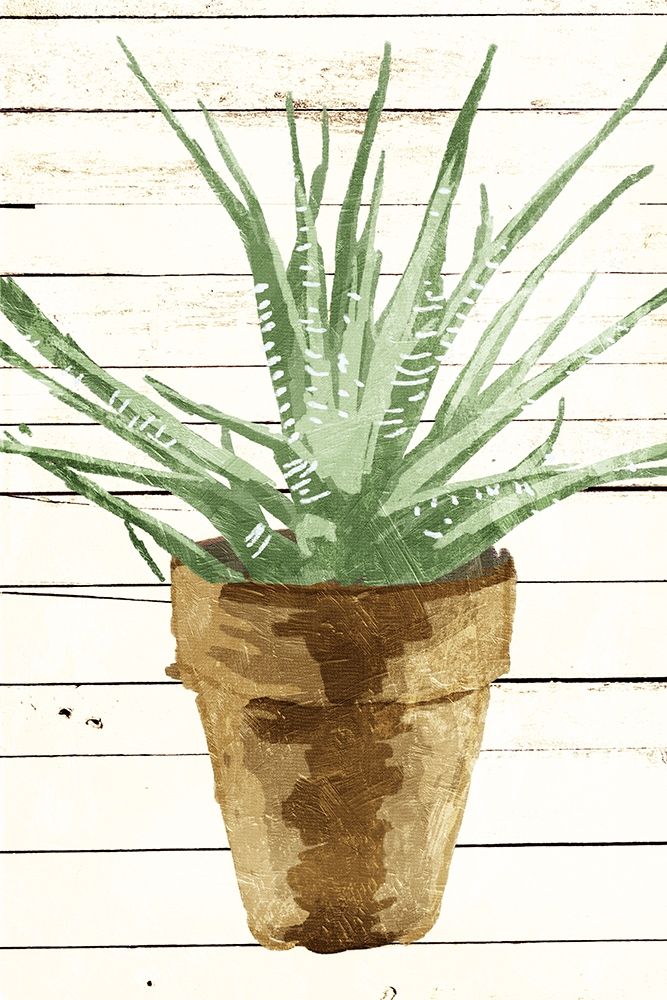 Wood Plant Pot