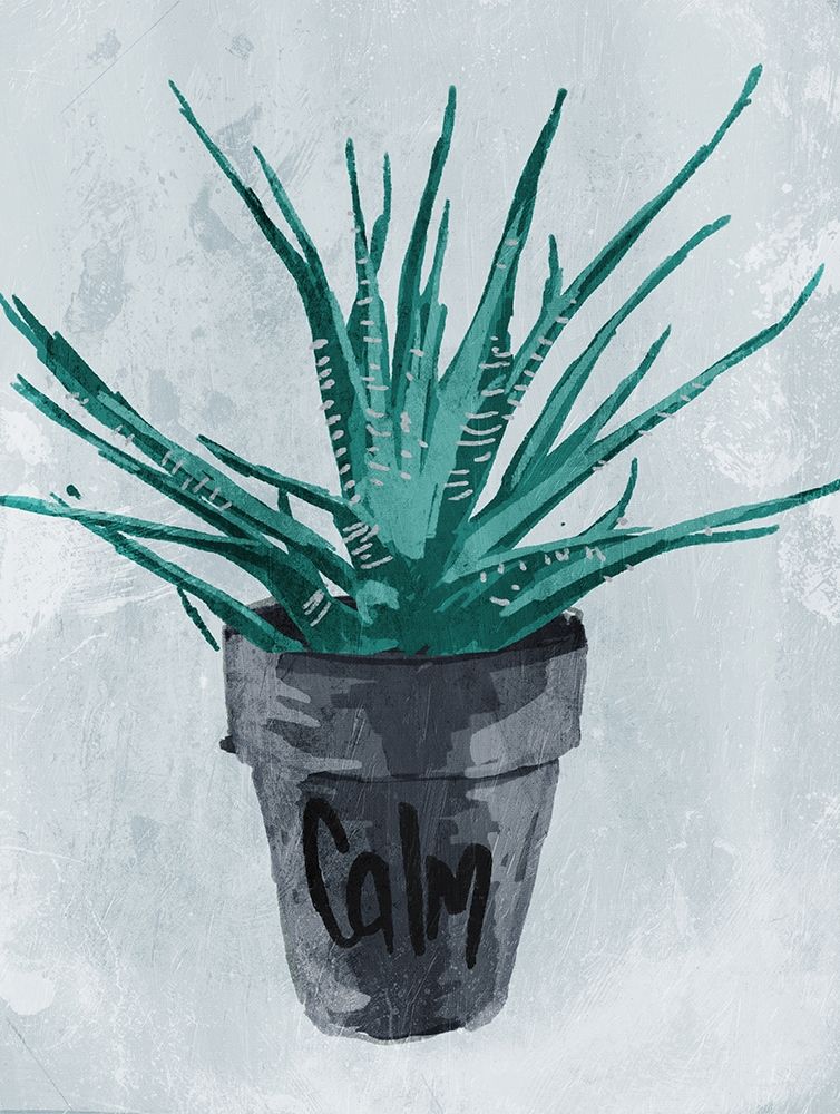 Calm Plant