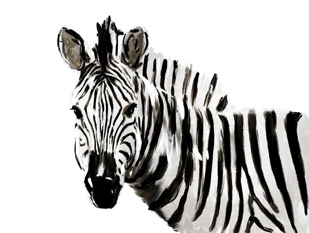 Original Zebra