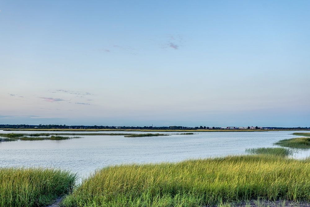 Summer Marsh