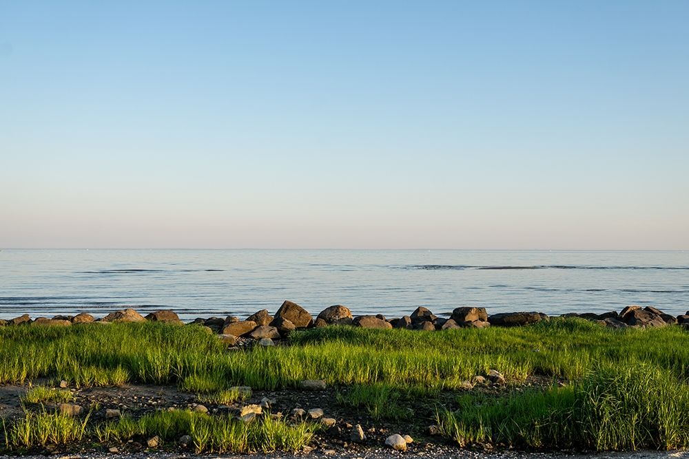 Rocky Shore