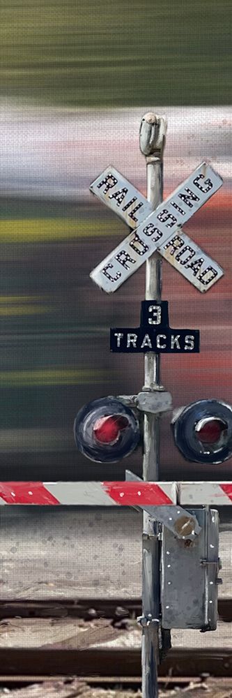 Moving Train Crossing