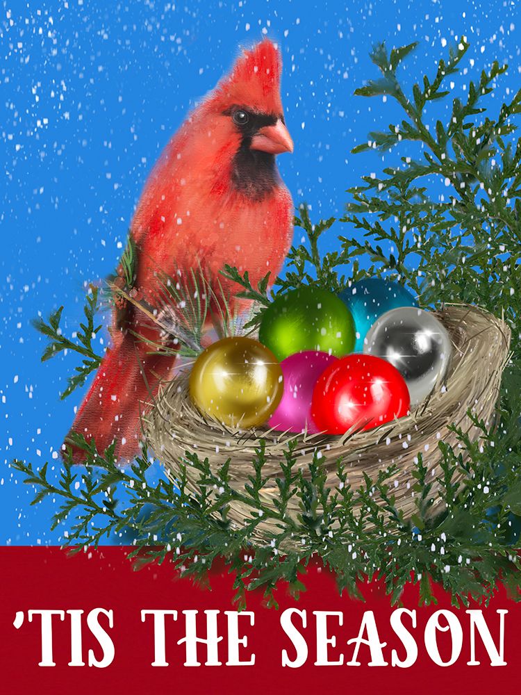 Cardinal Nest