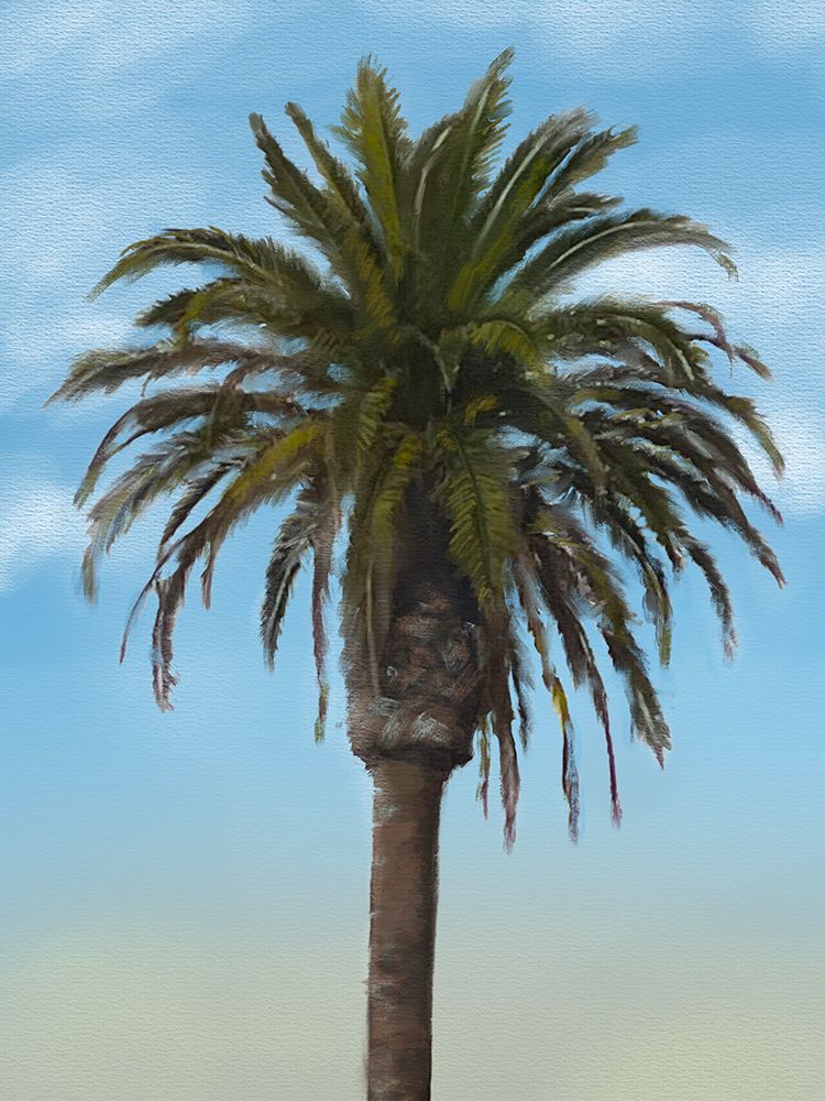 Palm Tree