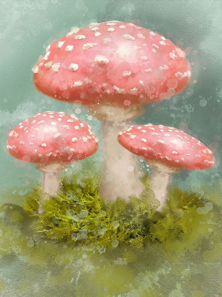 Mushroom Trio
