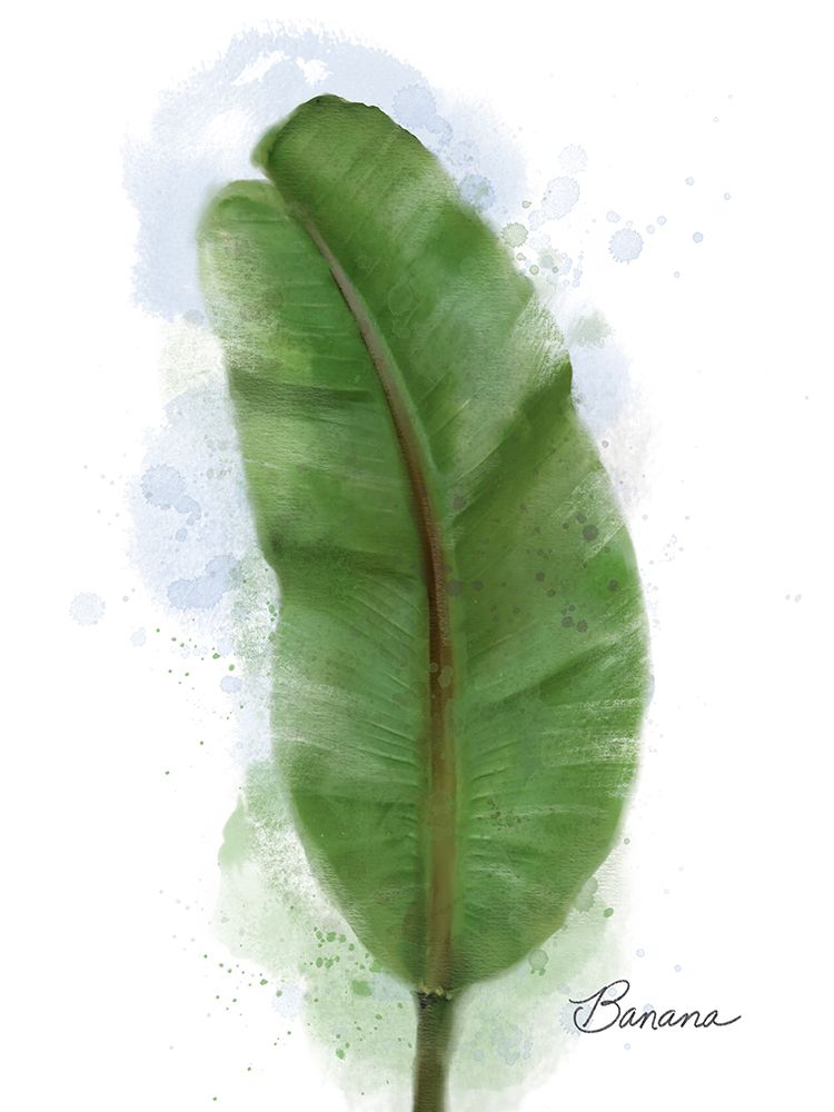 Banana Plant