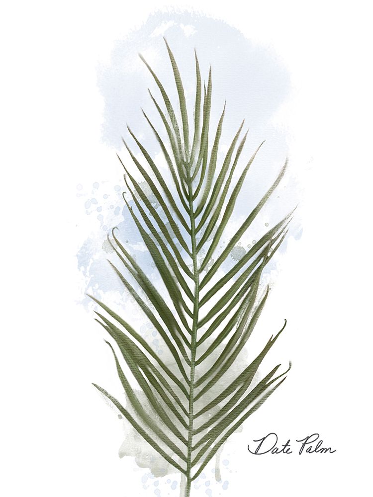 Date Palm