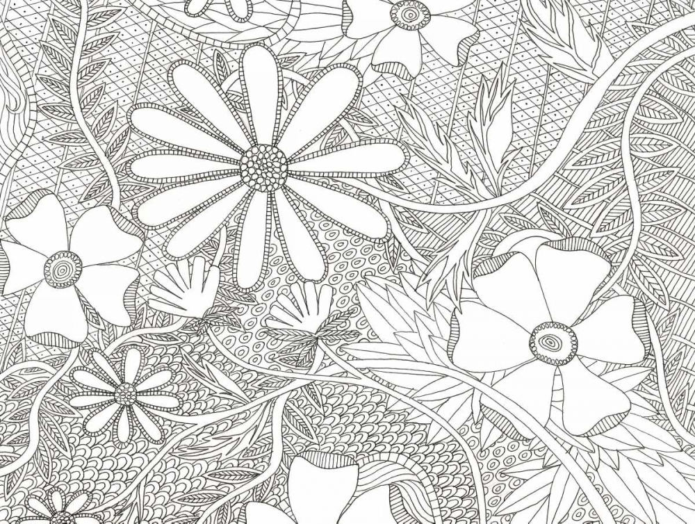 Wild Daisys Less