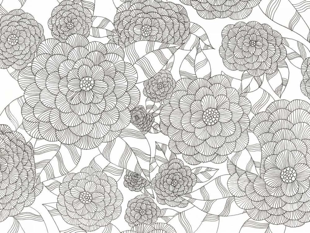 Wild Hydrangeas Less
