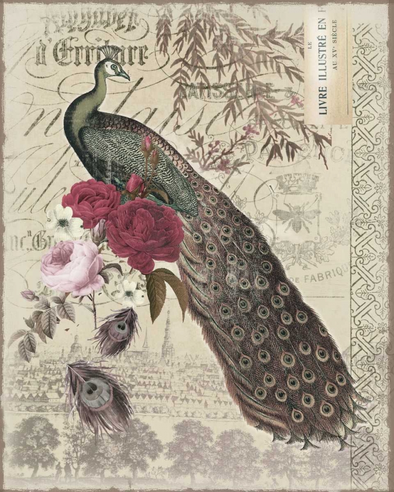 New Peacock 1