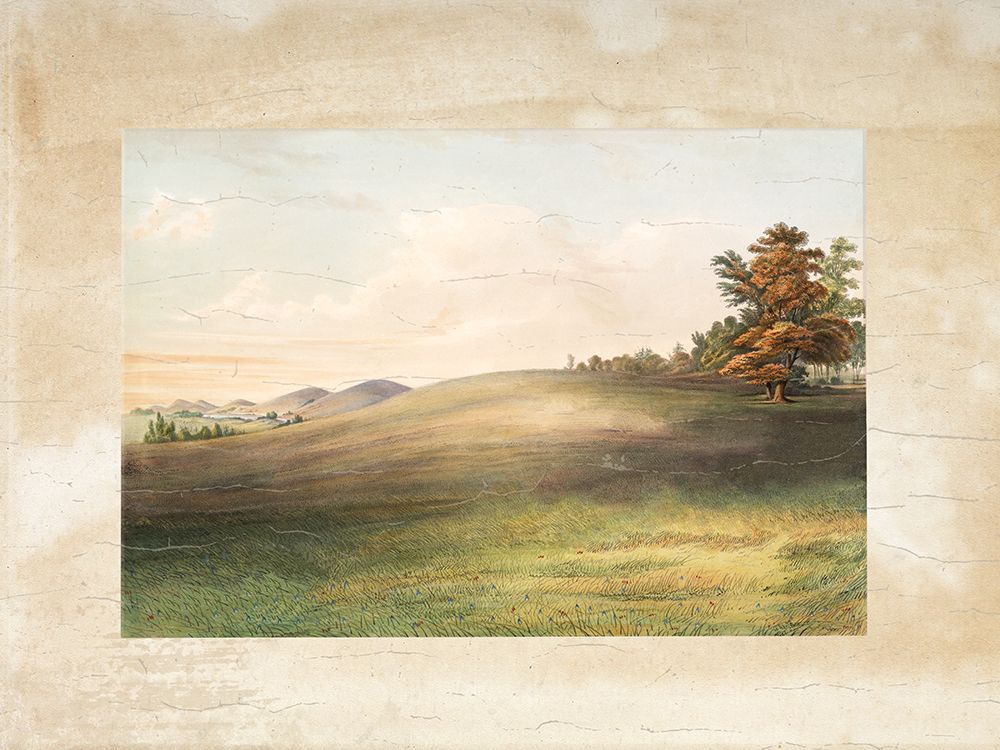 Veiled Landscape 1