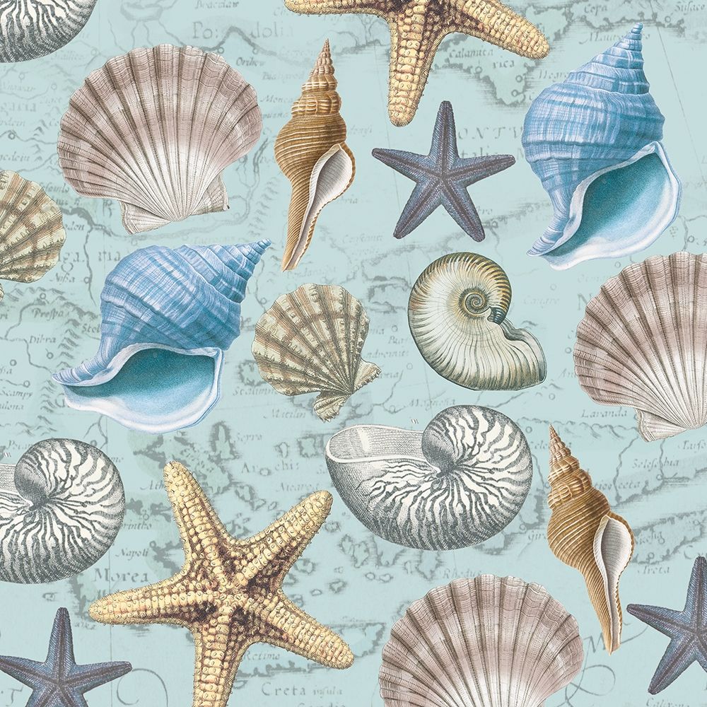 By The Sea Shells 1