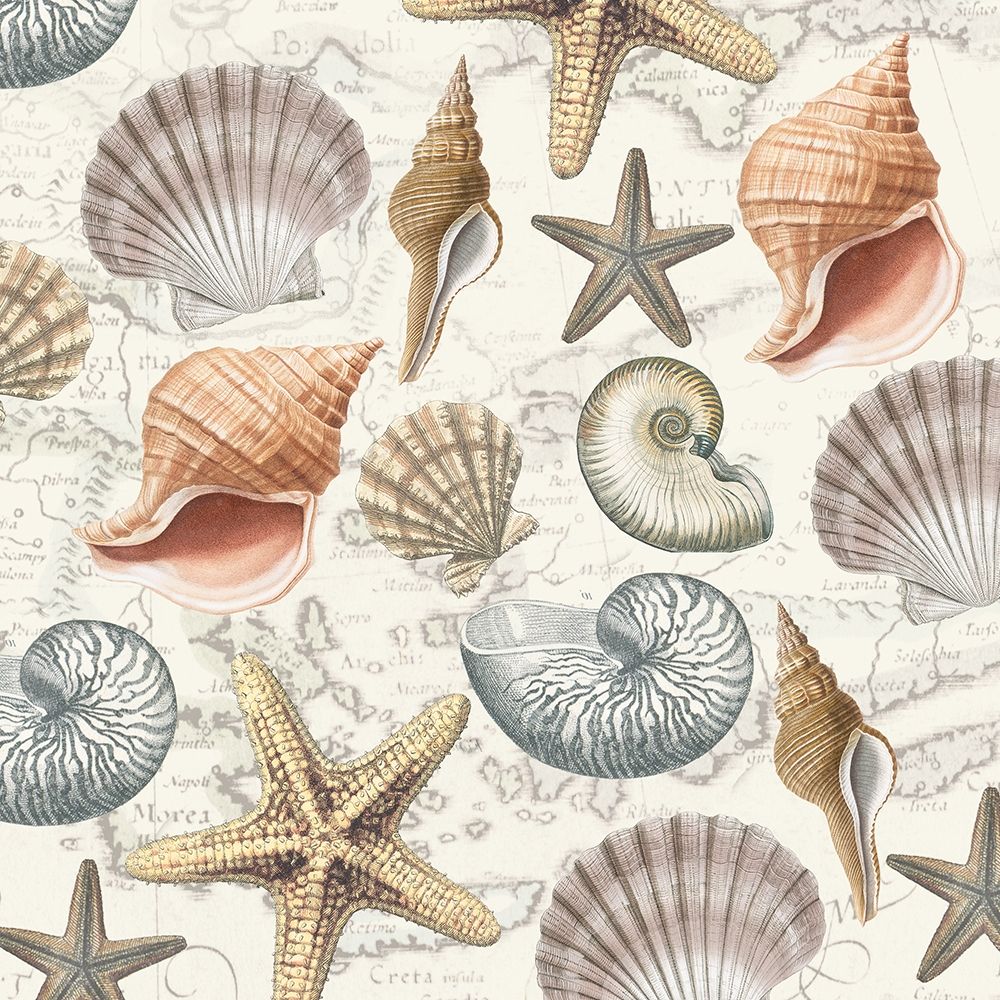By The Sea Shells 2