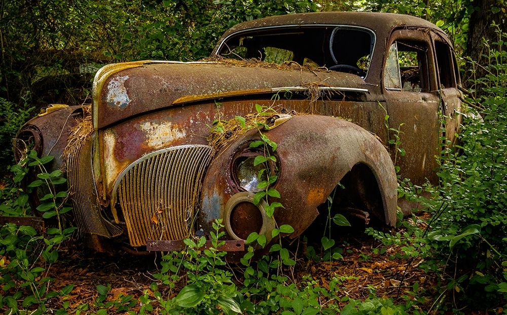 Old Bessy 2