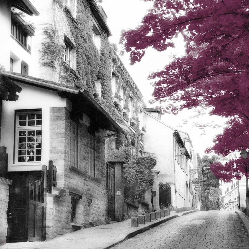 Eggplant Montmartre