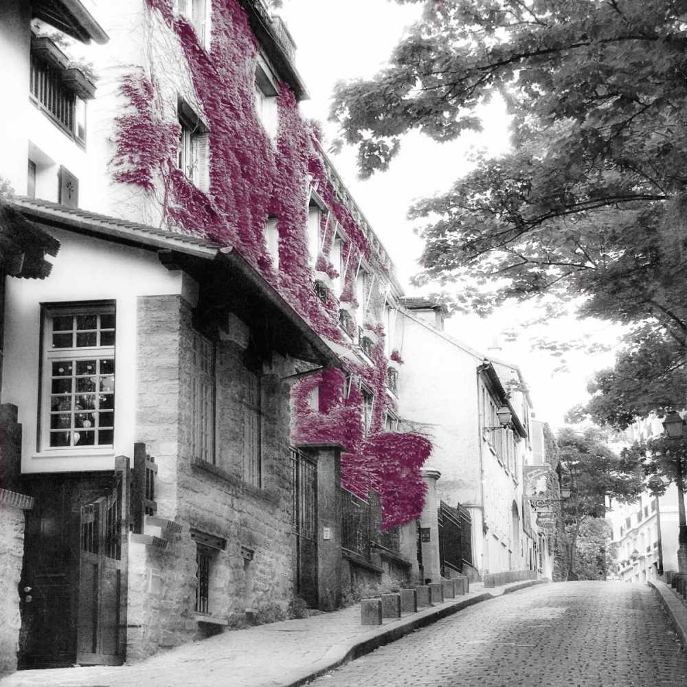 Eggplant Montmartre