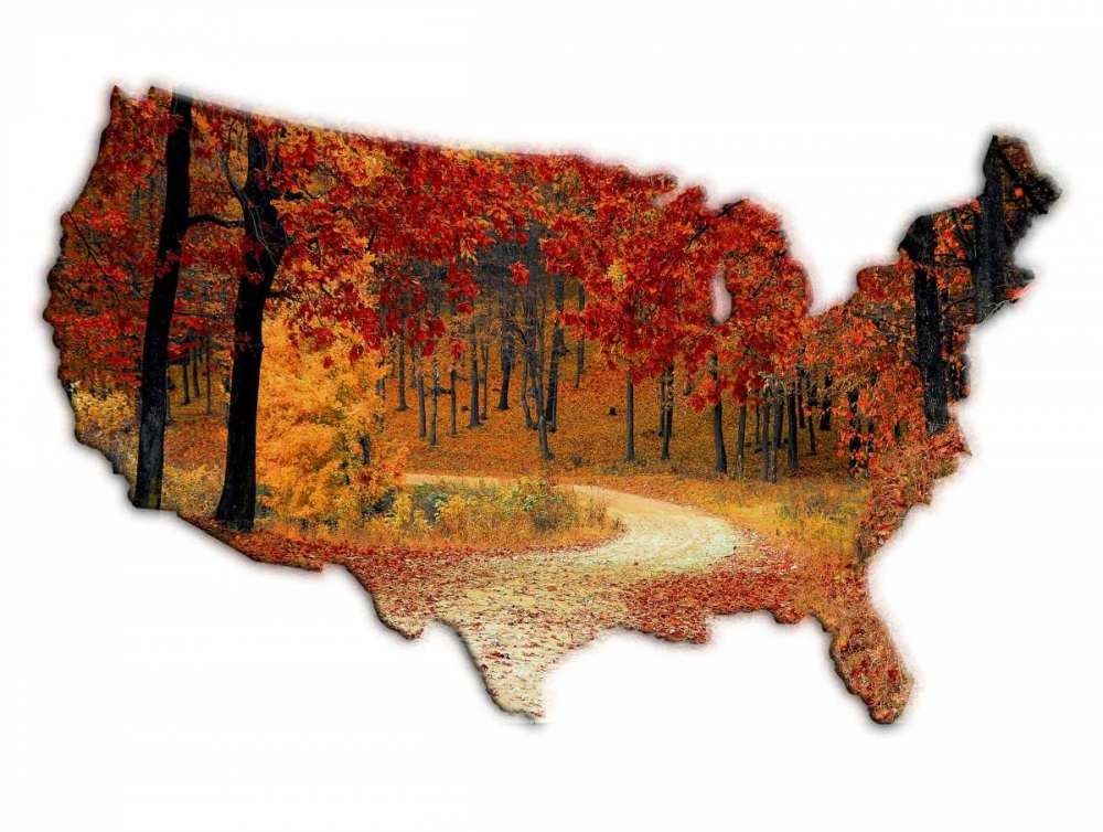 Fall Time USA