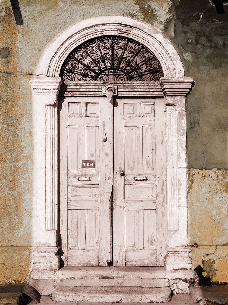 Toned Vintage Door
