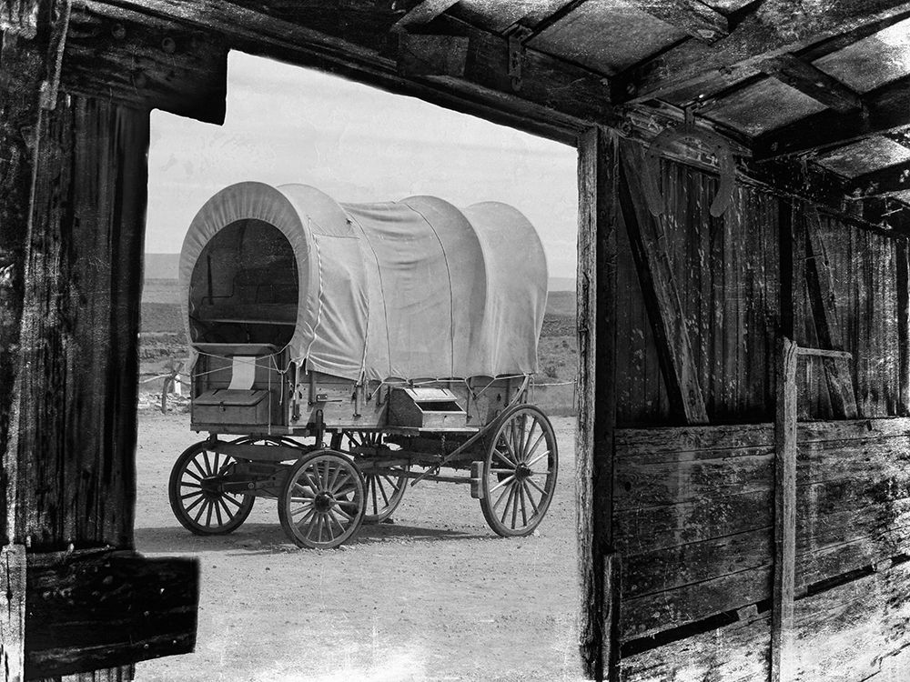 Carriage In The View