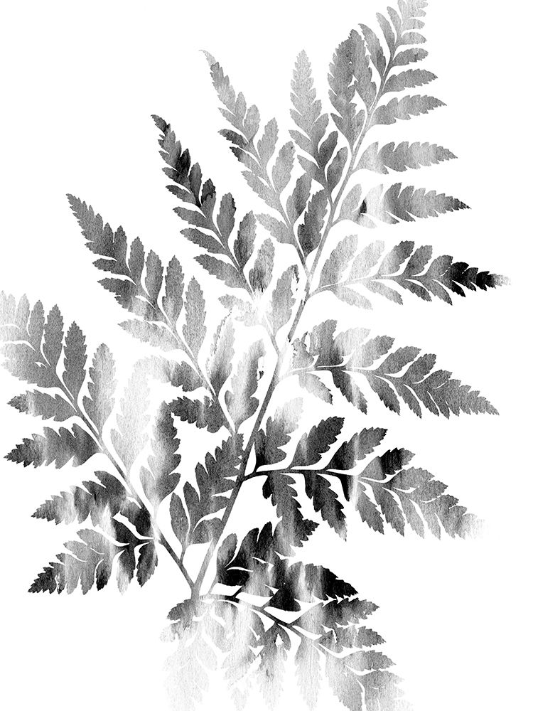 Faded Fern