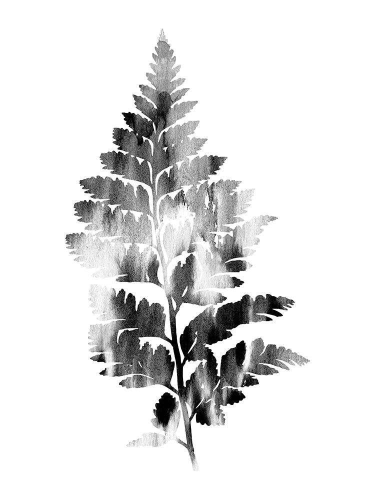 Faded Fern 2